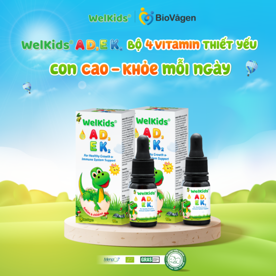 [Sẵn hàng date 2027] Combo 2 hộp WelKids ADEK