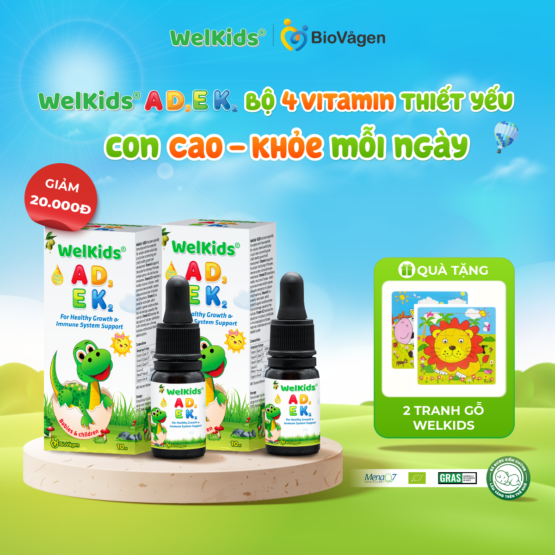 Combo 2 hộp WelKids ADEK
