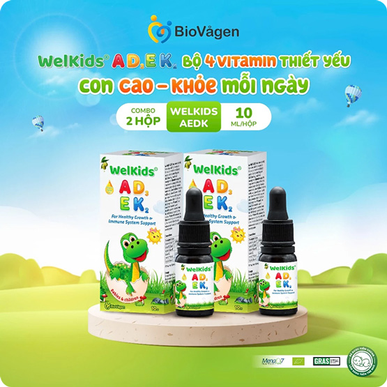 Combo 2 hộp WelKids ADEK