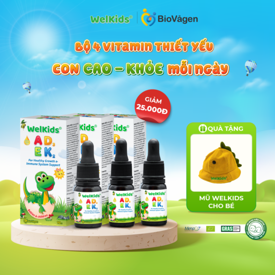 Combo 3 hộp WelKids ADEK
