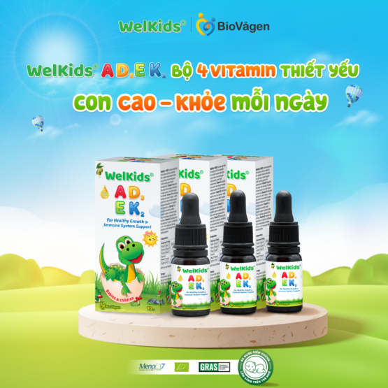 Combo 3 hộp WelKids ADEK