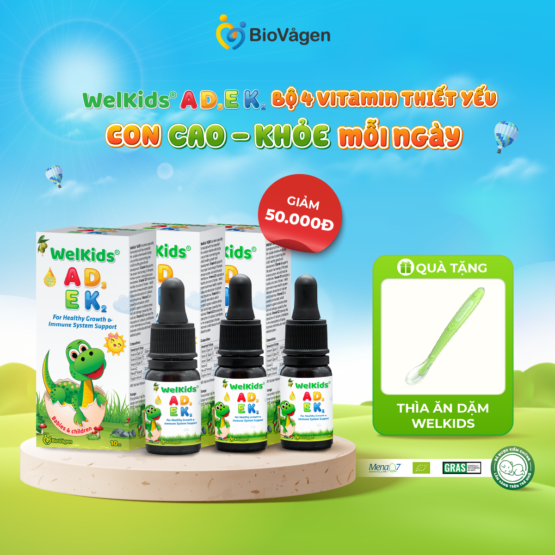 Combo 3 hộp WelKids ADEK