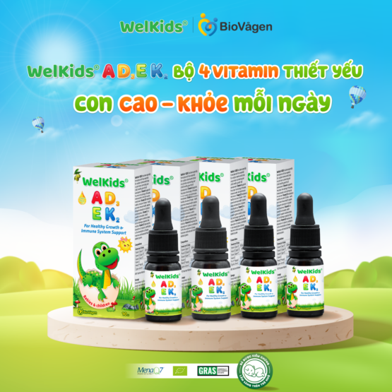 Combo 4 hộp WelKids ADEK