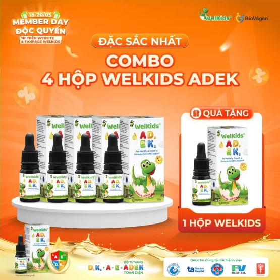 Combo 4 hộp WelKids ADEK