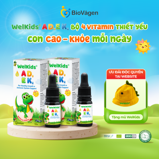 Combo 2 hộp WelKids ADEK