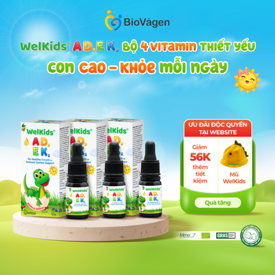 Combo 3 hộp WelKids ADEK