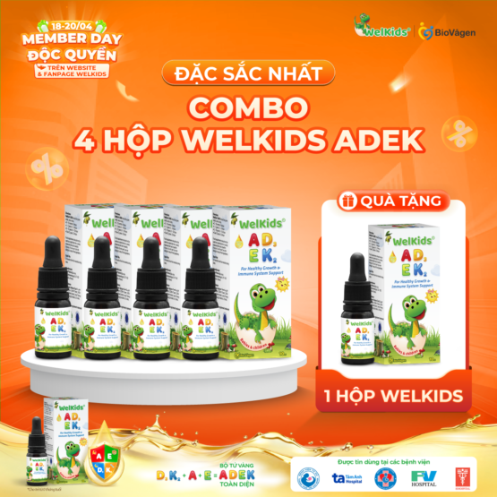 Combo 4 hộp WelKids ADEK
