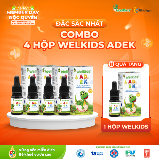 Combo 4 hộp WelKids ADEK