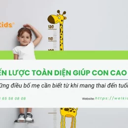 Chiến lược toàn diện giúp con cao lớn