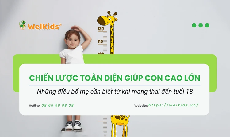 Chiến lược toàn diện giúp con cao lớn