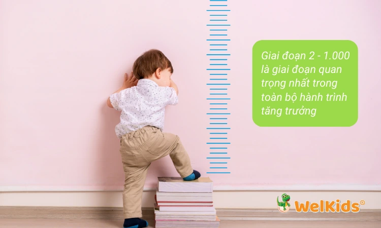 Giai đoạn 2 - 1.000 là giai đoạn quan trọng nhất trong toàn bộ hành trình tăng trưởng