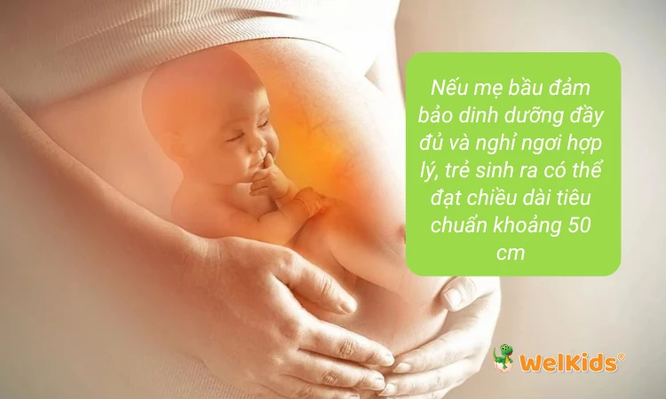 Nếu mẹ bầu đảm bảo dinh dưỡng đầy đủ và nghỉ ngơi hợp lý, trẻ sinh ra có thể đạt chiều dài tiêu chuẩn khoảng 50 cm